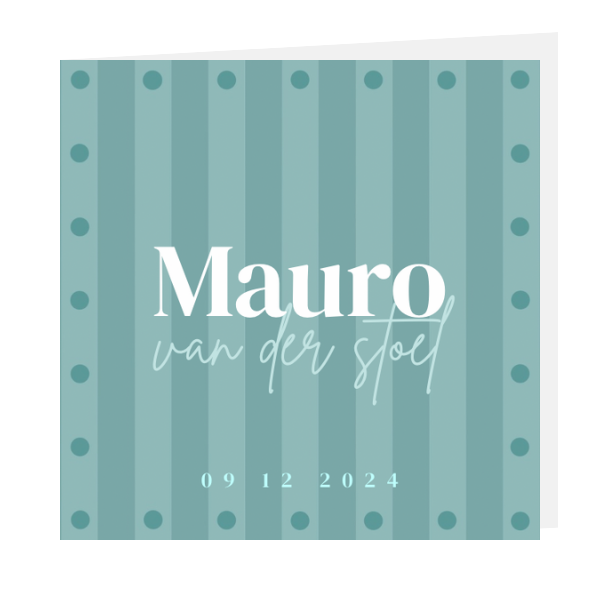 Geboortekaart Mauro