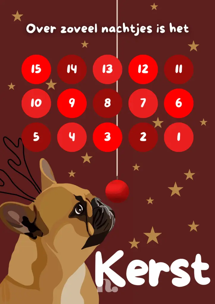 Aftelkalender Kerst