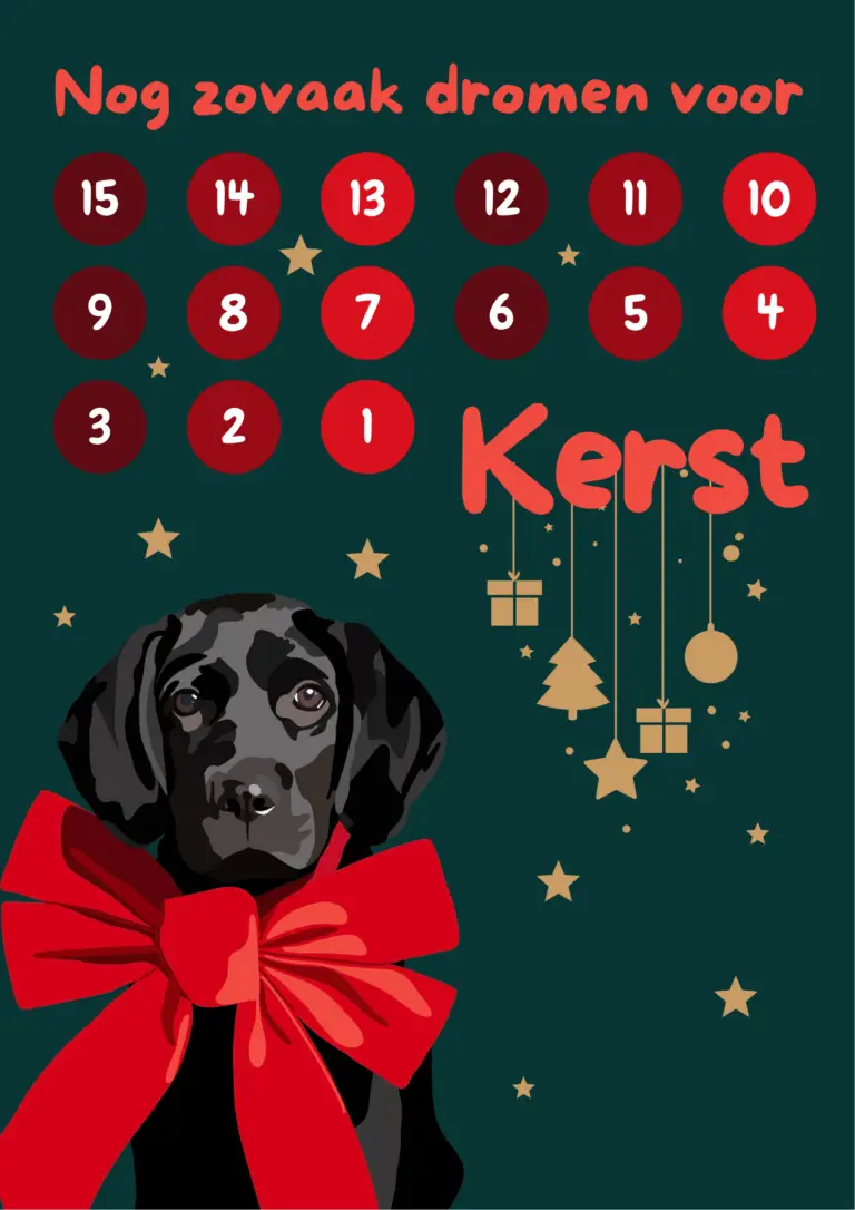 Aftelkalender Kerst